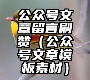 简单的来说下微信投票人工怎么刷票（微信纯人工投票）