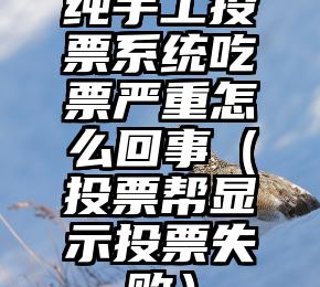 简单的来说下微信投票人工怎么刷票（微信纯人工投票）