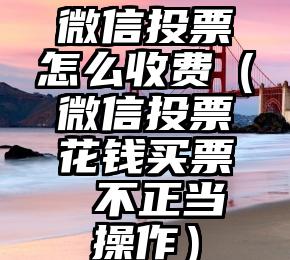 简单的来说下微信投票人工怎么刷票（微信纯人工投票）