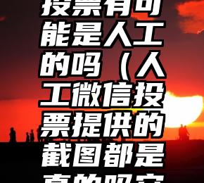 简单的来说下微信投票人工怎么刷票（微信纯人工投票）