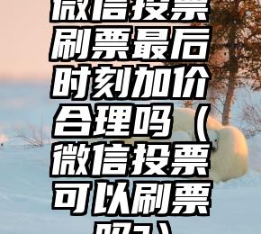 简单的来说下微信投票人工怎么刷票（微信纯人工投票）