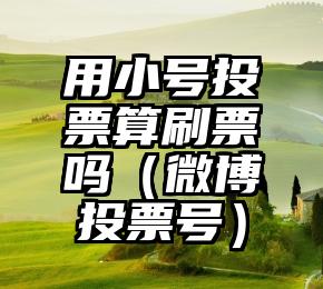 简单的来说下微信投票人工怎么刷票（微信纯人工投票）