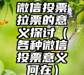 简单的来说下微信投票人工怎么刷票（微信纯人工投票）