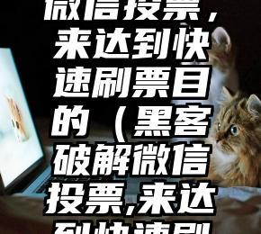 简单的来说下微信投票人工怎么刷票（微信纯人工投票）
