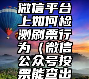 简单的来说下微信投票人工怎么刷票（微信纯人工投票）