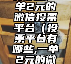 简单的来说下微信投票人工怎么刷票（微信纯人工投票）