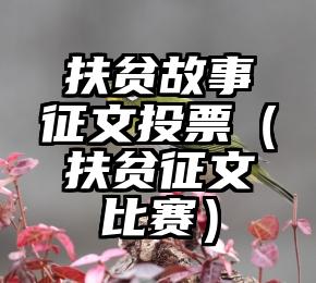 简单的来说下微信投票人工怎么刷票（微信纯人工投票）