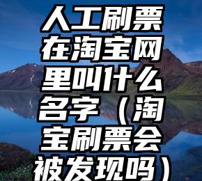 简单的来说下微信投票人工怎么刷票（微信纯人工投票）
