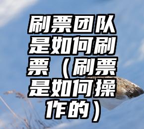 简单的来说下微信投票人工怎么刷票（微信纯人工投票）