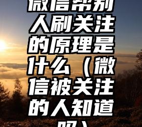 简单的来说下微信投票人工怎么刷票（微信纯人工投票）