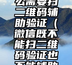 简单的来说下微信投票人工怎么刷票（微信纯人工投票）