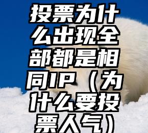 简单的来说下微信投票人工怎么刷票（微信纯人工投票）