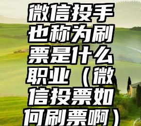 简单的来说下微信投票人工怎么刷票（微信纯人工投票）