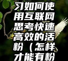 简单的来说下微信投票人工怎么刷票（微信纯人工投票）
