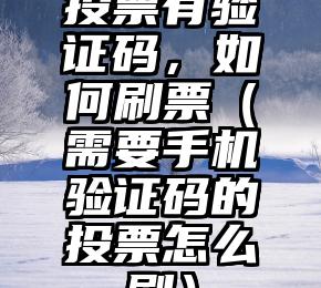 简单的来说下微信投票人工怎么刷票（微信纯人工投票）