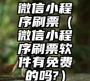 简单的来说下微信投票人工怎么刷票（微信纯人工投票）