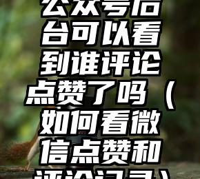 简单的来说下微信投票人工怎么刷票（微信纯人工投票）