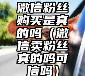 简单的来说下微信投票人工怎么刷票(微信纯人工投票)