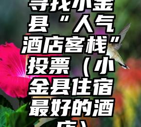 简单的来说下微信投票人工怎么刷票（微信纯人工投票）