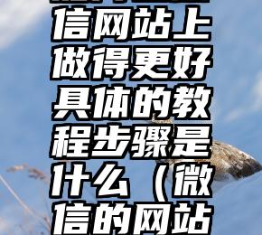 简单的来说下微信投票人工怎么刷票（微信纯人工投票）