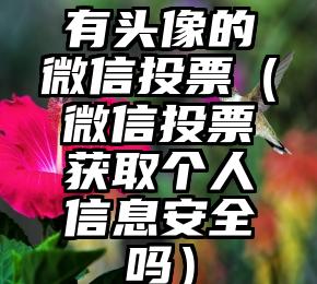 简单的来说下微信投票人工怎么刷票（微信纯人工投票）