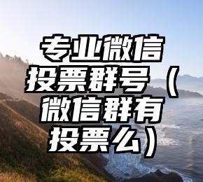 简单的来说下微信投票人工怎么刷票（微信纯人工投票）