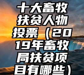 简单的来说下微信投票人工怎么刷票（微信纯人工投票）