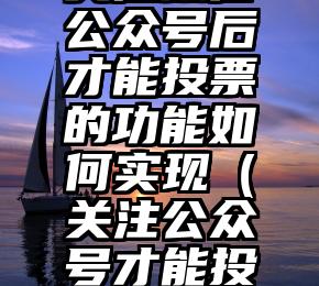 简单的来说下微信投票人工怎么刷票（微信纯人工投票）