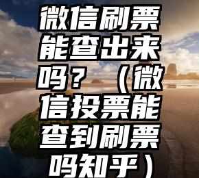 简单的来说下微信投票人工怎么刷票（微信纯人工投票）