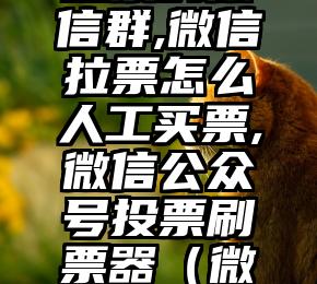 简单的来说下微信投票人工怎么刷票(微信纯人工投票)