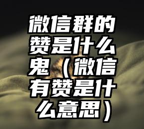简单的来说下微信投票人工怎么刷票（微信纯人工投票）