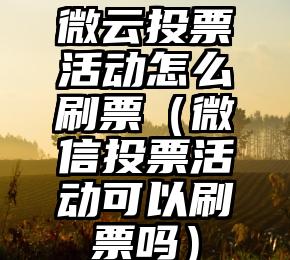 简单的来说下微信投票人工怎么刷票（微信纯人工投票）