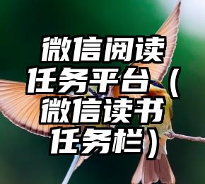 简单的来说下微信投票人工怎么刷票（微信纯人工投票）