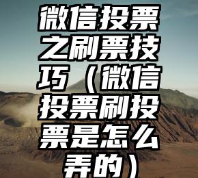 简单的来说下微信投票人工怎么刷票（微信纯人工投票）