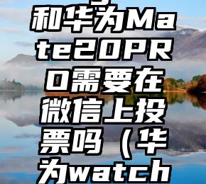 简单的来说下微信投票人工怎么刷票（微信纯人工投票）
