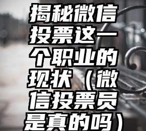 简单的来说下微信投票人工怎么刷票（微信纯人工投票）