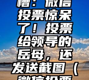 简单的来说下微信投票人工怎么刷票（微信纯人工投票）