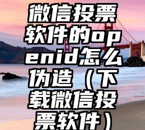 简单的来说下微信投票人工怎么刷票（微信纯人工投票）