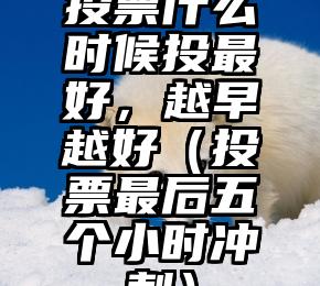 简单的来说下微信投票人工怎么刷票（微信纯人工投票）