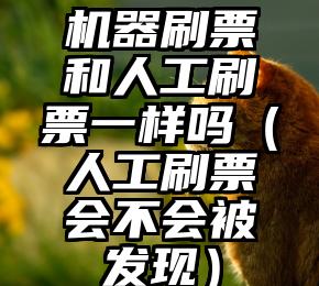 简单的来说下微信投票人工怎么刷票（微信纯人工投票）