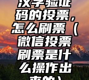 简单的来说下微信投票人工怎么刷票（微信纯人工投票）