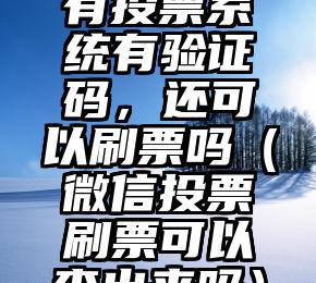 简单的来说下微信投票人工怎么刷票（微信纯人工投票）