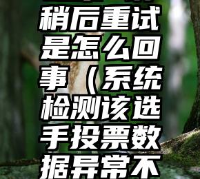 简单的来说下微信投票人工怎么刷票（微信纯人工投票）