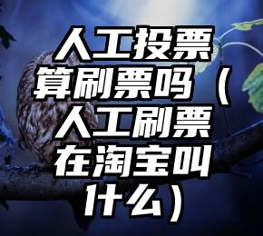 简单的来说下微信投票人工怎么刷票（微信纯人工投票）