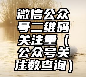 简单的来说下微信投票人工怎么刷票（微信纯人工投票）