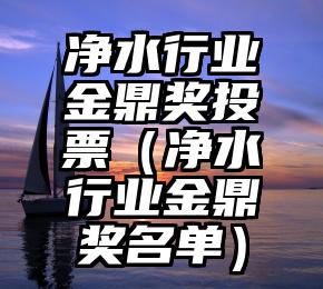 简单的来说下微信投票人工怎么刷票(微信纯人工投票)