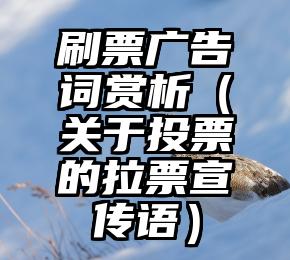 简单的来说下微信投票人工怎么刷票（微信纯人工投票）