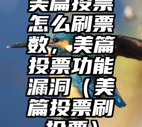 简单的来说下微信投票人工怎么刷票（微信纯人工投票）