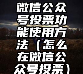 简单的来说下微信投票人工怎么刷票（微信纯人工投票）