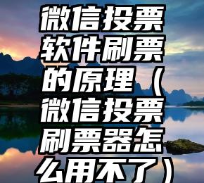 简单的来说下微信投票人工怎么刷票（微信纯人工投票）